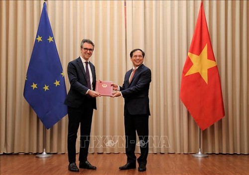 Vietnam überreicht der EU Noten über Ratifizierung von EVFTA und EVIPA durch das Parlament - ảnh 1