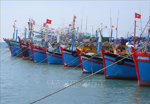 Webseite Foreign Affairs Asia: Vietnam gibt sich Mühe, um gelbe Karte gegen IUU-Fischerei aufzuheben - ảnh 1