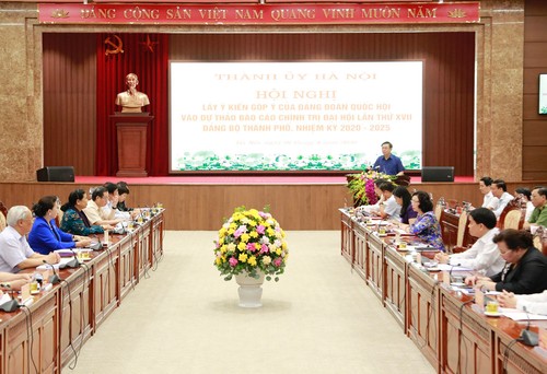 Hanoi sammelt Meinungen der Fraktion zum Berichtsentwurf der 17. Parteikonferenz der Stadt - ảnh 1