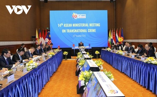 Die 14. ASEAN-Ministerkonferenz über transnationale Kriminalität gibt gemeinsame Erklärung ab - ảnh 1