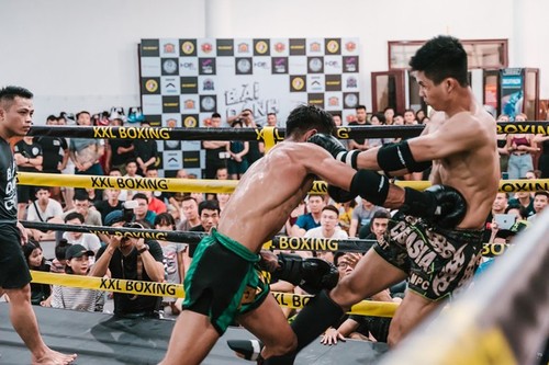 Gemischte Kampfkünste MMA werden zum ersten Mal in Vietnam offiziell organisiert - ảnh 1