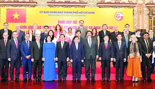 Kooperation zwischen Ho-Chi-Minh-Stadt und ausländischen Partnern fördern - ảnh 1