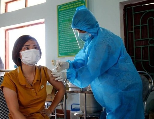 Covid-19: 241 Infektionsfälle am Mittwoch in Vietnam gemeldet - ảnh 1