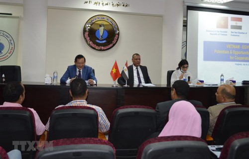 Handelskooperation zwischen Vietnam und Ägypten verstärken - ảnh 1