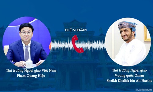 Verstärkung bilateraler Zusammenarbeit zwischen Vietnam und Oman - ảnh 1