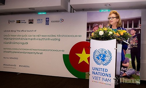 Start der Konsultationen in Vietnam für die Umweltkonferenz „Stockholm+50“ - ảnh 1