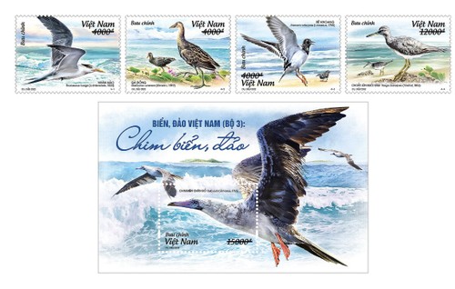 Briefmarkenserie „Meer und Inseln Vietnams: Meeresvögel“ herausgegeben - ảnh 1