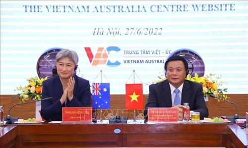 Internetportal des Vietnam-Australien-Zentrums eröffnet - ảnh 1