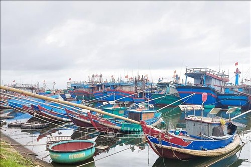Provinzen von Quang Ninh bis Binh Dinh bereiten sich auf Taifun Nesat vor - ảnh 1