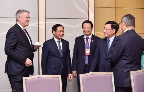 Engere Zusammenarbeit zwischen OECD und Südostasien - ảnh 1