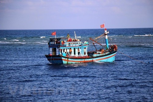 Einseitiges Fischfangverbot Chinas abgewiesen - ảnh 1