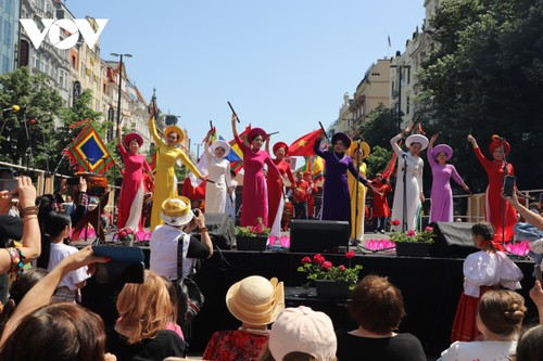 Vietnamesen beteiligen sich am Festival ethnischer Minderheiten in Tschechien - ảnh 1