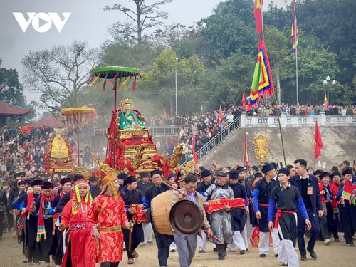 Das Neuer-Reis-Fest im Dong-Cuong-Tempel im Oktober stattfinden - ảnh 1