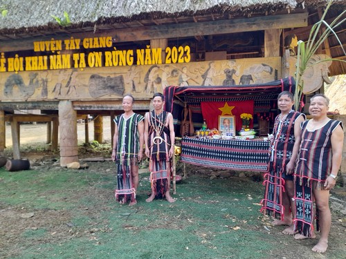Kreis Tay Giang in Quang Nam verbindet die Entwicklung der Wälder mit dem Leben der Bewohner - ảnh 2