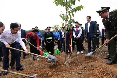 Staatspräsident Vo Van Thuong startet das Baumpflanzfest - ảnh 1