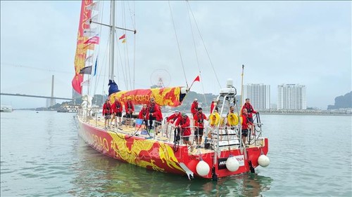 Das erste von elf Segelbooten des Rennens um die Welt trifft in Halong-Bucht ein - ảnh 1