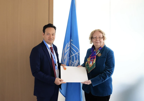 Vietnam will die Zusammenarbeit mit der UNO weiterhin fördern - ảnh 1