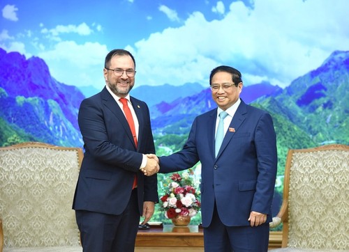 Premierminister Pham Minh Chinh empfängt venezolanischen Außenminister Pinto - ảnh 1