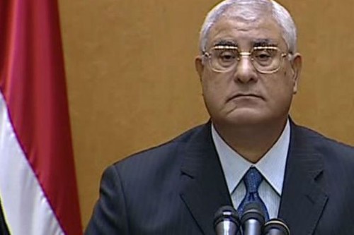 Situasi Mesir setelah Adli Mansour dilantik menjadi Presiden sementara - ảnh 1