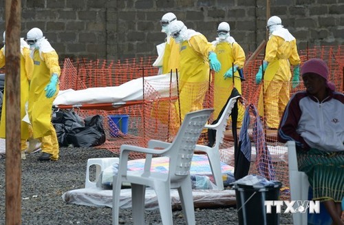 Sekjen PBB, Ban Ki-moon: Menanggulangi wabah Ebola memerlukan sumber daya yang berlipat 20 kali terbanding dengan saat sekarang - ảnh 1