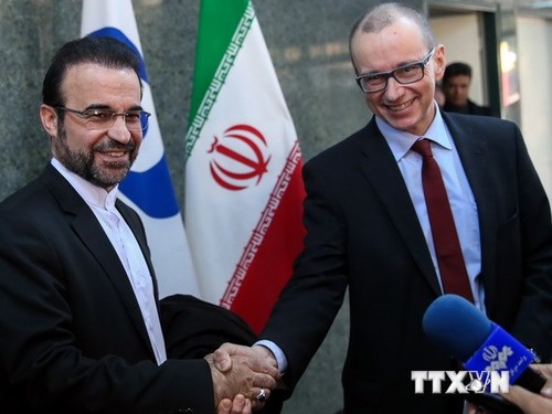 Iran menilai dialog dengan IAEA bersifat konstruktif - ảnh 1