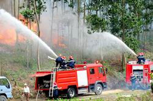 Memperkenalkan pekerjaan mencegah dan memadamkan kebakaran hutan di Vietnam - ảnh 1