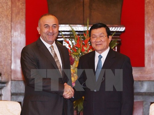 Presiden Vietnam, Truong Tan Sang menerima Menlu Turki, Mevlut Cavusoglu - ảnh 1