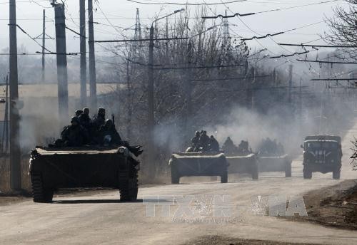Gencatan senjata dilanggar lagi di Ukraina Timur - ảnh 1