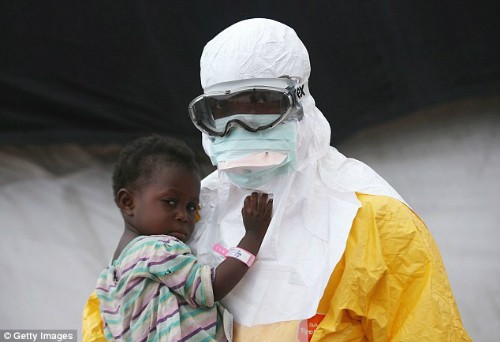 Virus Ebola muncul kembali - ảnh 1