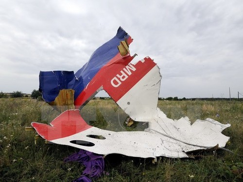 Belanda menolak mengumumkan dokumen-dokumen yang bersangkutan dengan kasus jatuhnya pesawat terbang MH17 - ảnh 1
