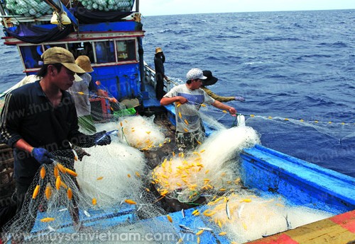 Mengembangkan peranan Serikat Sekerja Perikanan dalam melindungi kepentingan kaum nelayan - ảnh 1