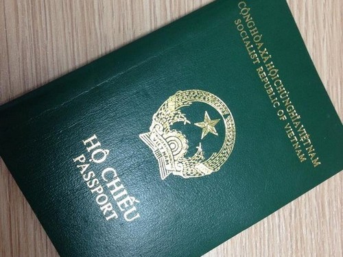 Memberikan bebas visa kepada orang Vietnam yang bermukim di luar negeri - ảnh 1
