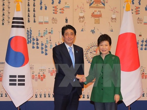 Pembicaraan tingkat tinggi Jepang-Republik Korea mencapai hasil positif - ảnh 1