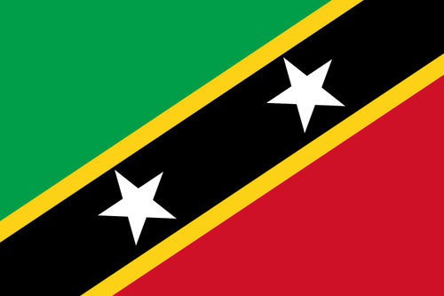Duta Besar Vietnam di Federasi St.Kitts dan Nevis menyampaikan surat mandat    - ảnh 1