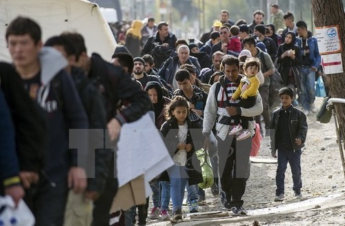 Denmark memperpanjang penerapan kontrol perbatasan untuk mengontrol arus migran ilegal - ảnh 1