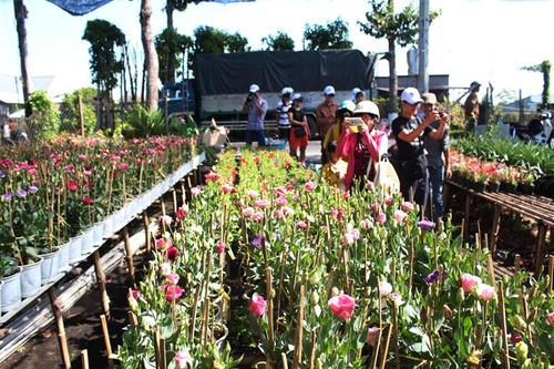 Desa bunga Sa Dec menyerap kedatangan wisatawan sehubungan dengan Hari Raya Tet - ảnh 1
