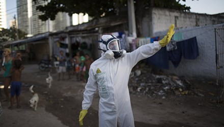 Vietnam belum mencatat pasien kejangkitan virus Zika - ảnh 1