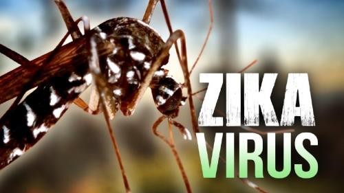 Banyak negara di dunia menemukan pasien pertama yang terkena virus Zika - ảnh 1