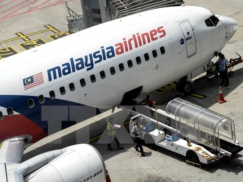  Maskapai penerbangan Malaysia Airlines dan Pemerintah Malaysia resmi menjadi tergugat - ảnh 1