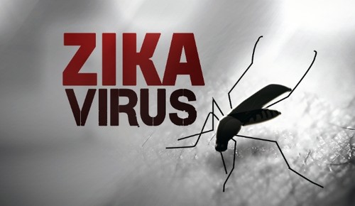 Vietnam meningkatkan peringatan terhadap aktivitas pencegahan dan pemberantasan wabah penyakit akibat virus Zika - ảnh 1