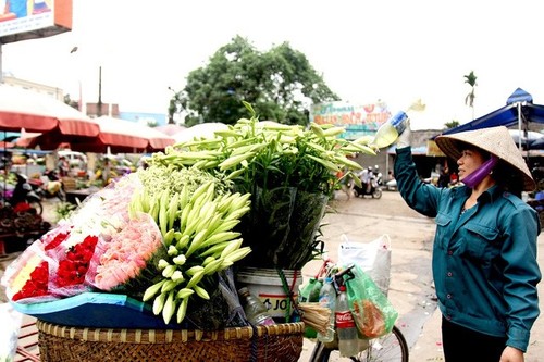 Keindahan bunga bakung paskah di jalan-jalan kota Hanoi - ảnh 3