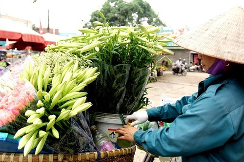 Keindahan bunga bakung paskah di jalan-jalan kota Hanoi - ảnh 4