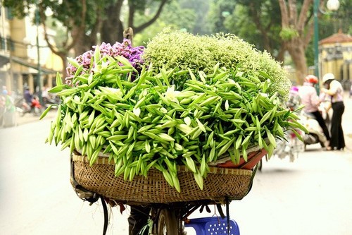 Keindahan bunga bakung paskah di jalan-jalan kota Hanoi - ảnh 6
