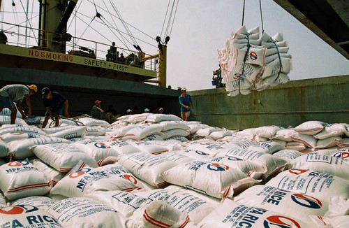 Mengekspor beras berkualitas tinggi, arah baru untuk perberasan Vietnam - ảnh 1