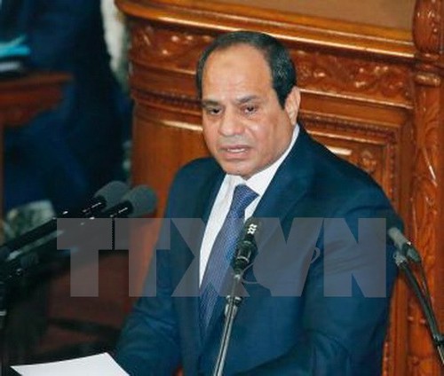 Mesir menekankan solusi dua negara terhadap Palestina dan Isarel - ảnh 1