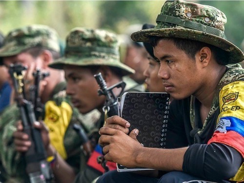 Kolombia mendesak kepada PBB supaya cepat mengawasi gencatan senjata - ảnh 1