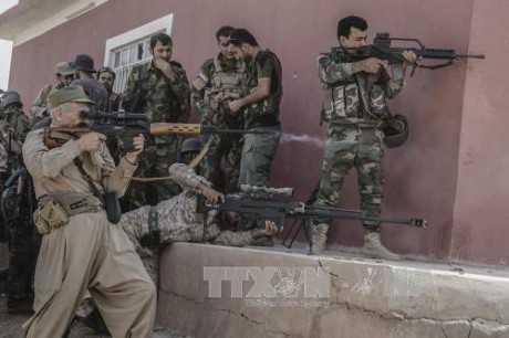 Angkatan Udara Irak membasmi 19 pemimpin IS di Mosul - ảnh 1