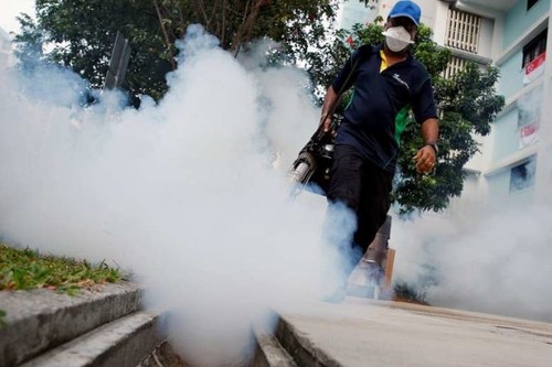 Jumlah korban yang terinfeksi virus Zika di Singapura terus meningkat - ảnh 1