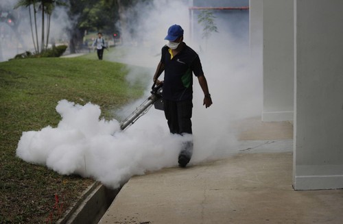Singapura menemukan lagi 9 kasus yang terinfeksi virus Zika - ảnh 1