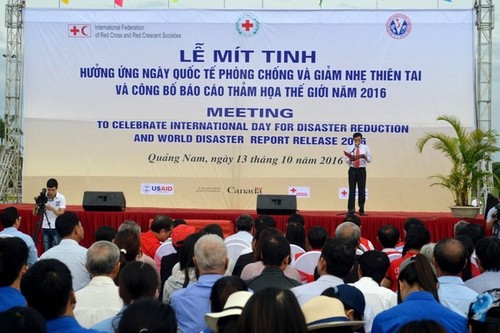 Vietnam menyambut Hari Penanggulangan dan Mitigasi Bencana Alam Internasional - ảnh 1
